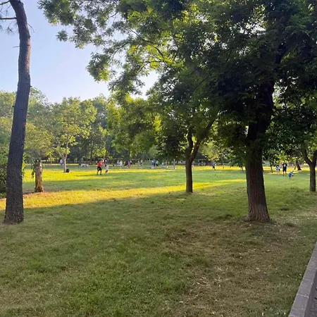 Lazzuro 7 아파트 *