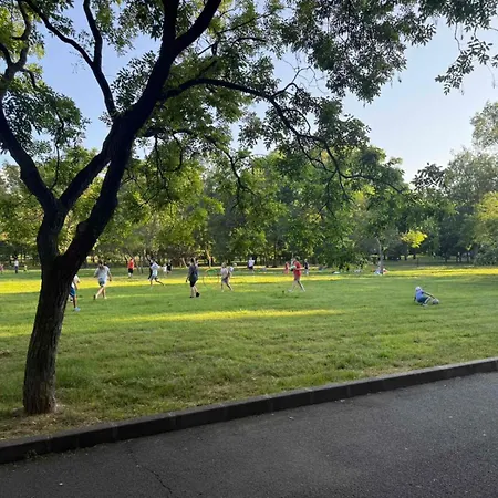 Apartment Lazzuro 7 *